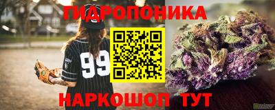 СК Дубна