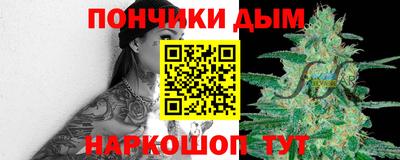 СК Дубна