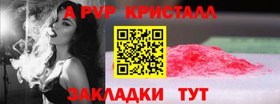 СК Дубна