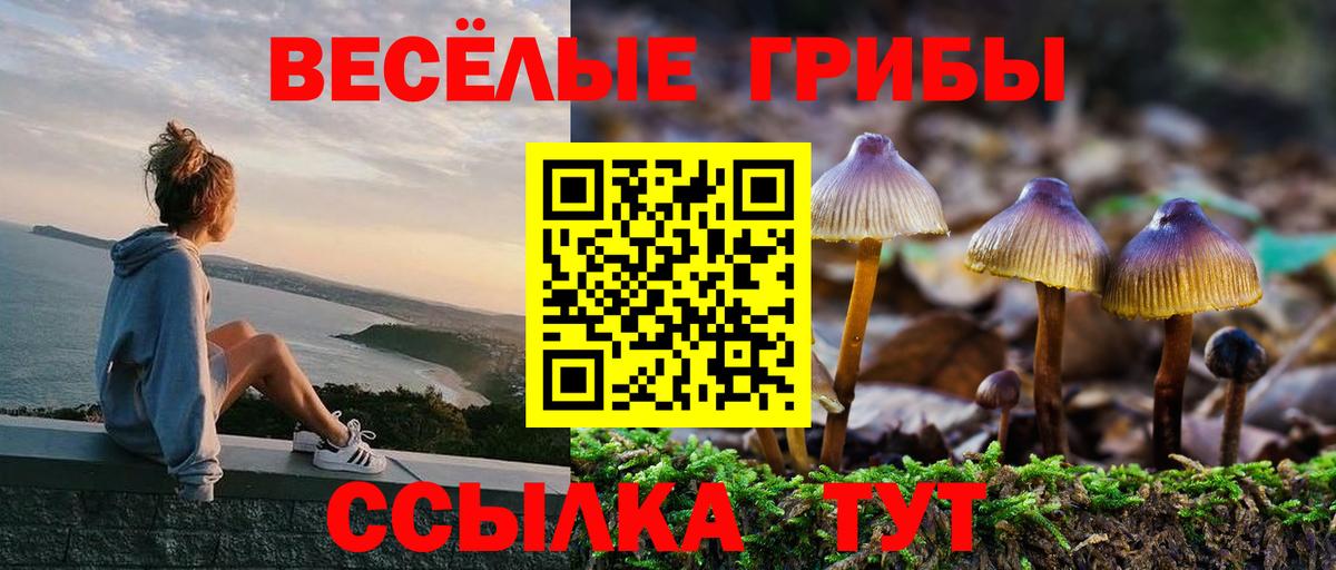 Заволжье  Галлюциногенные грибы мухоморы  Вход с VPN 